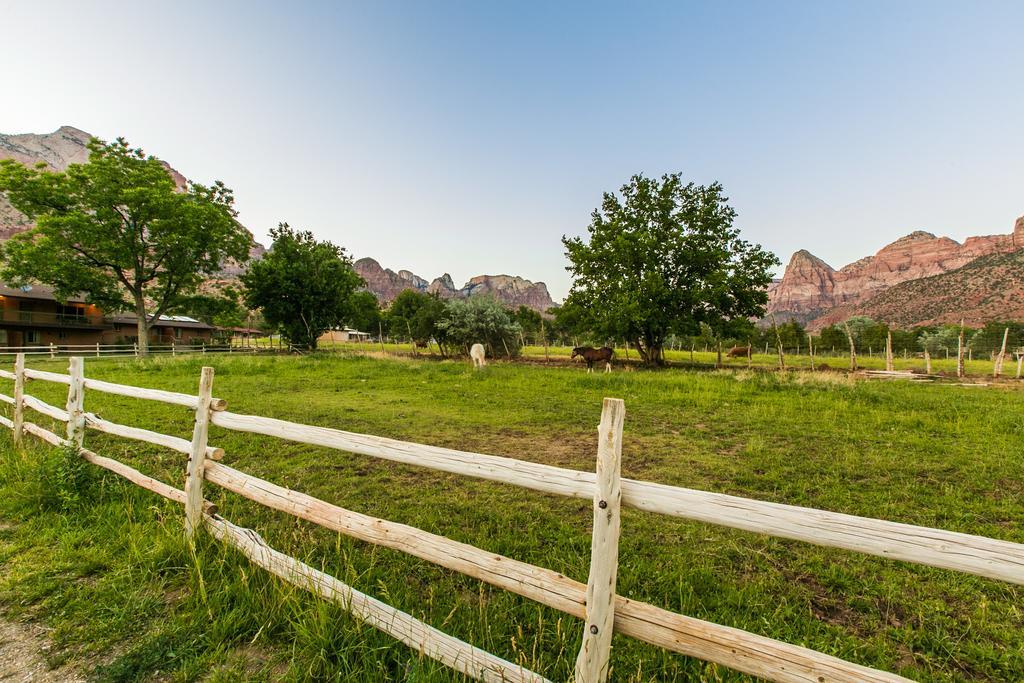 Driftwood Lodge Спрингдейл Экстерьер фото
